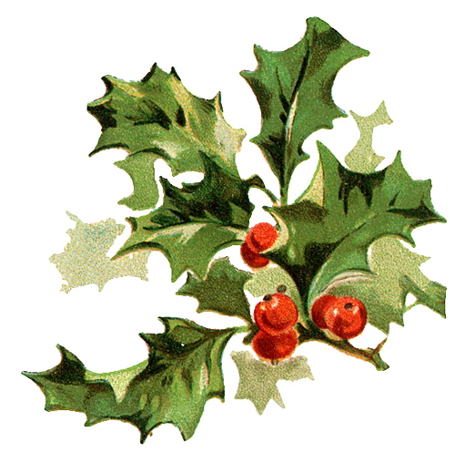 Transparent Christmas Carol Ebenezer Scrooge Santa Claus Aquifoliaceae Holly for Christmas