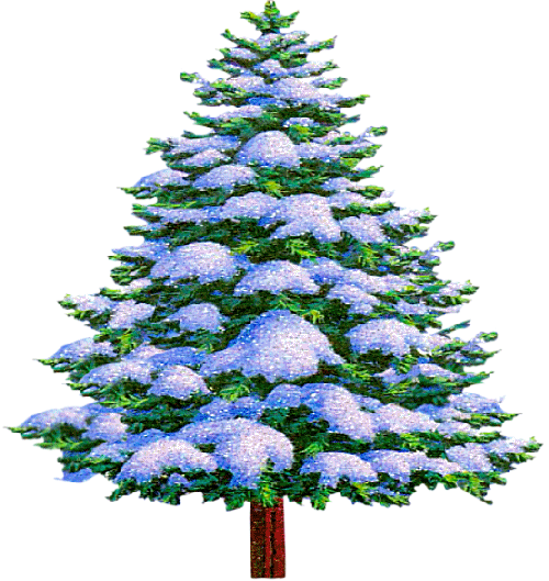 Transparent Christmas Wish Blessing Christmas Tree Tree for Christmas