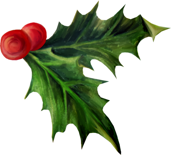 Transparent christmas Leaf Holly Plant for Holly for Christmas