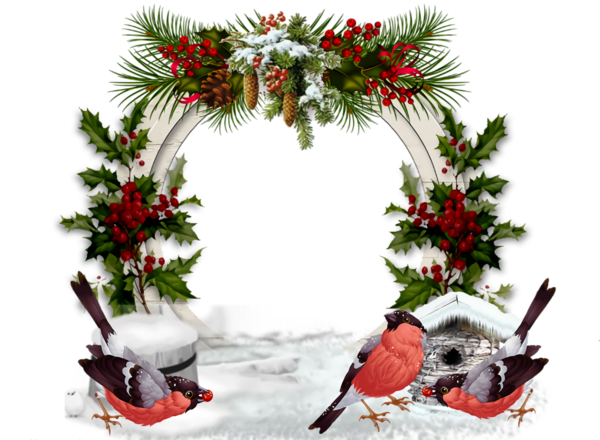Transparent christmas Christmas decoration Wreath Holly for Christmas Border for Christmas