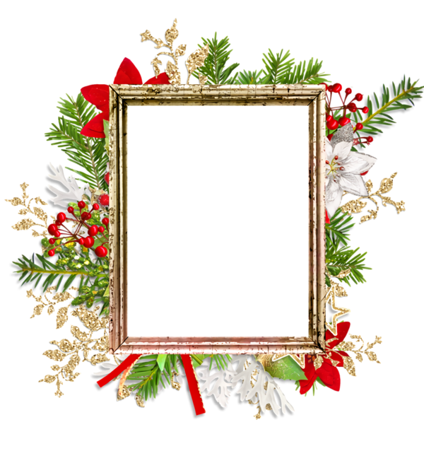Transparent christmas Picture frame Holly Fir for Christmas Border for Christmas