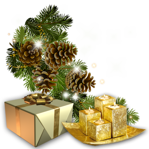 Transparent christmas Tree Fir Pine for Christmas Gift for Christmas