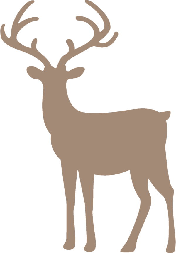 Transparent christmas Reindeer Elk Deer for Reindeer for Christmas