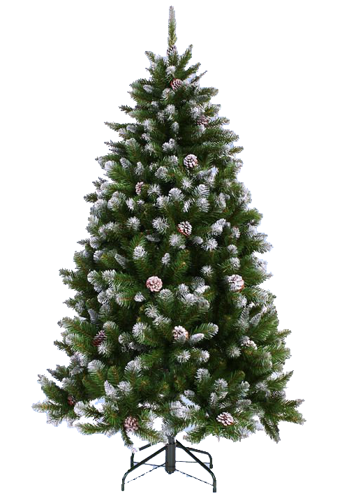 Transparent New Year Tree Fir Christmas Christmas Tree Balsam Fir for Christmas
