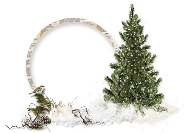 Transparent christmas oregon pine Tree Colorado spruce for Christmas Border for Christmas