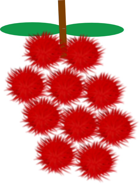 Transparent Rambutan Fruit Net Christmas Ornament for Christmas