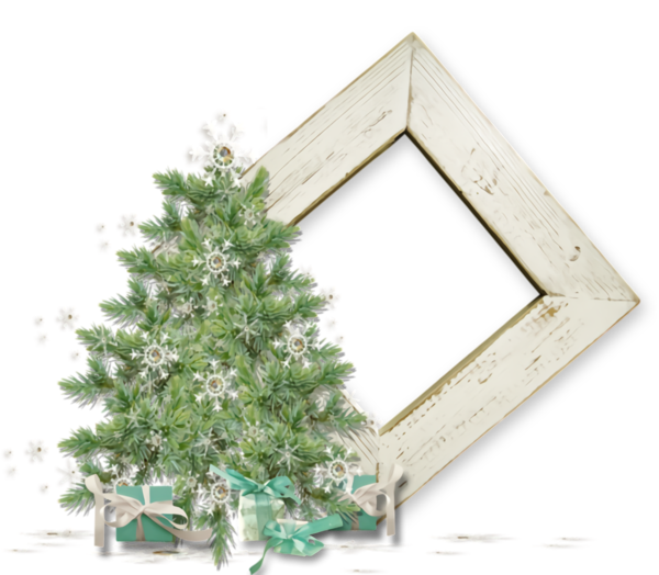 Transparent christmas oregon pine Tree Plant for Christmas Border for Christmas