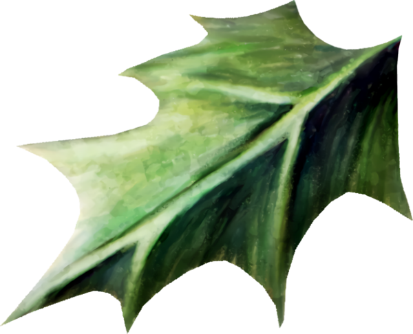 Transparent christmas Leaf Green Plant for Holly for Christmas