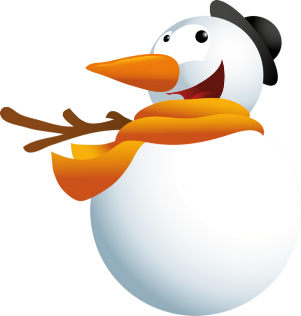 Transparent christmas Cartoon Duck Bird for snowman for Christmas