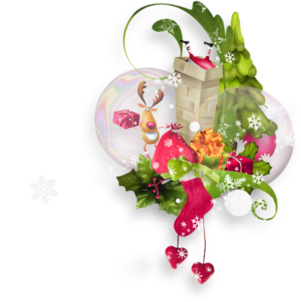 Transparent Ded Moroz Christmas New Year Flower Flora for Christmas