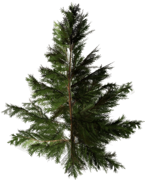 Transparent Tree Christmas Tree Artificial Christmas Tree Fir Pine Family for Christmas
