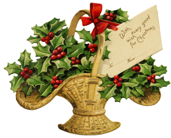 Transparent christmas Holly Flower Flowerpot for Holly for Christmas