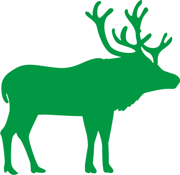 Transparent christmas Green Reindeer Elk for Reindeer for Christmas