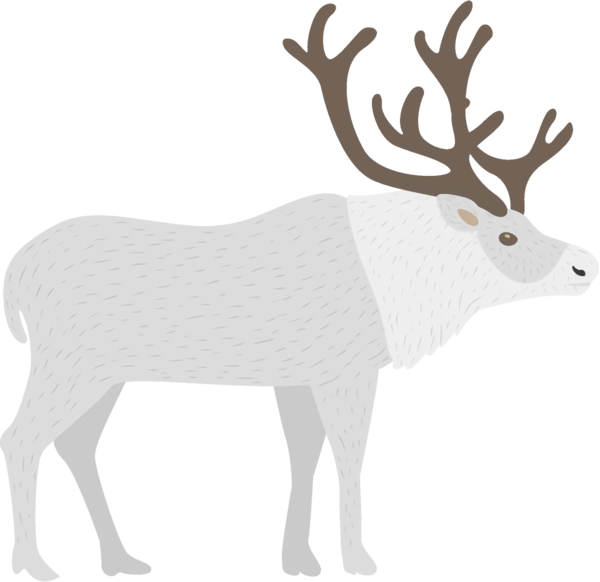 Transparent christmas Reindeer Elk Deer for Reindeer for Christmas