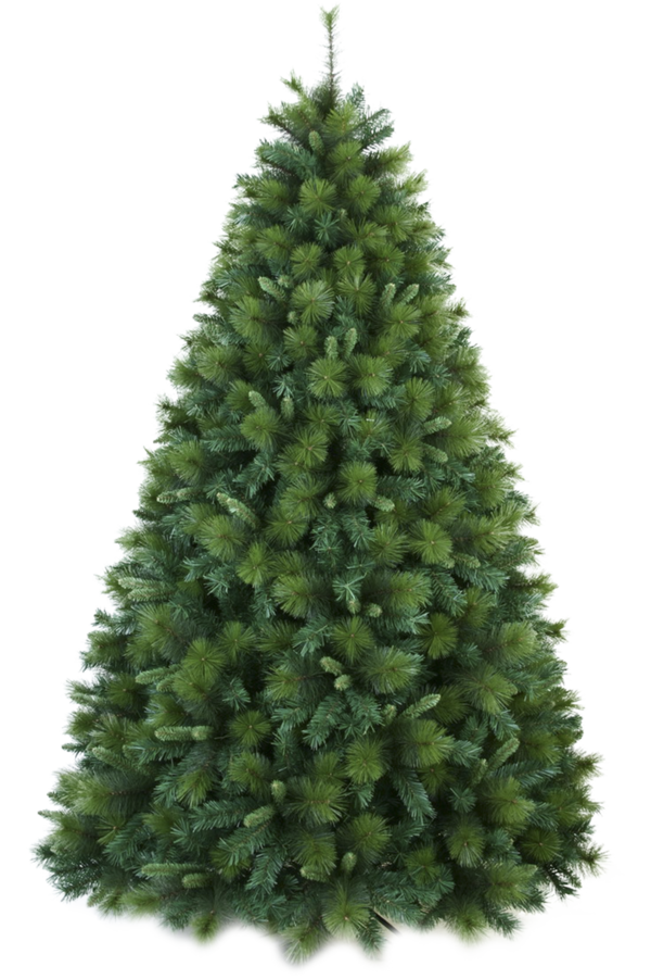 Transparent Christmas Tree Tree Christmas Spruce for Christmas