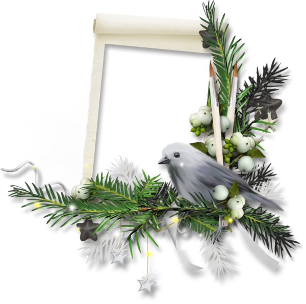 Transparent christmas Branch Bird Colorado spruce for Christmas Border for Christmas