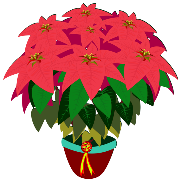 Transparent Flower Poinsettia Drawing Leaf for Christmas