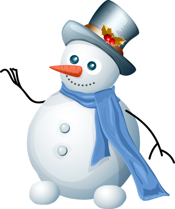 Transparent Animation Christmas Snowman Flightless Bird for Christmas