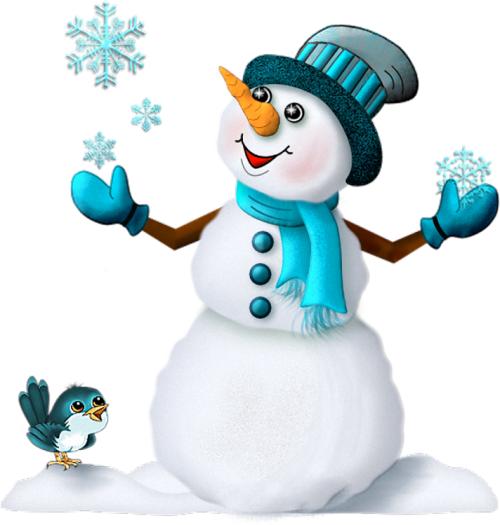 Transparent Snowman Christmas Wav Flightless Bird for Christmas