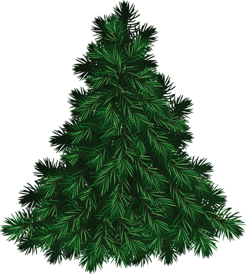 Transparent Tree Pine Christmas Tree for Christmas