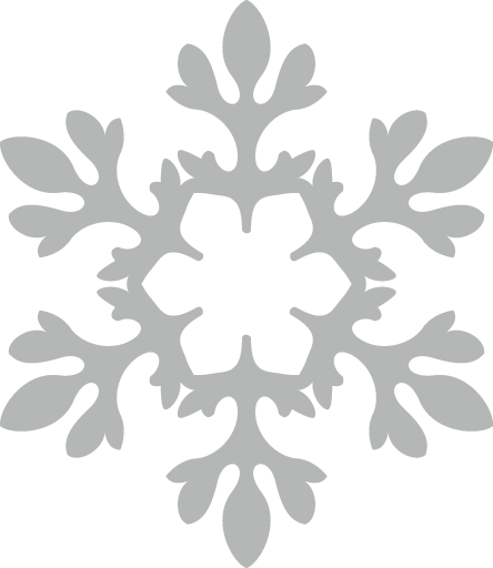 Transparent christmas Leaf Plant for Snowflake for Christmas