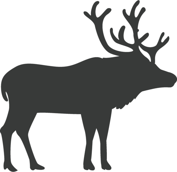 Transparent christmas Elk Reindeer Deer for Reindeer for Christmas