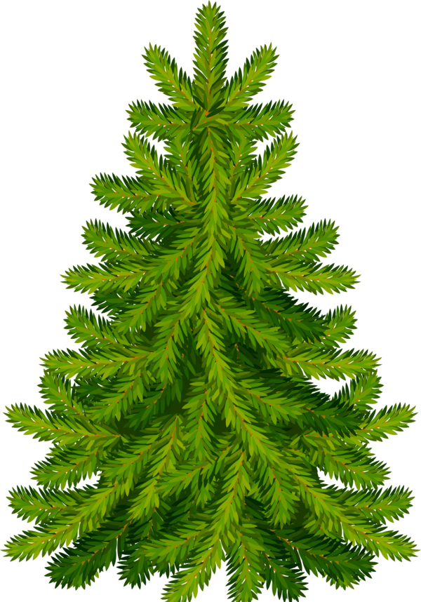 Transparent Christmas Tree Fir Christmas Day Tree Spruce for Christmas