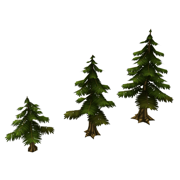 Transparent Spruce Low Poly 3d Computer Graphics Tree for Christmas