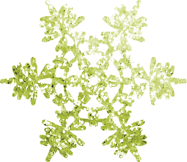 Transparent Snowflake Christmas Christmas Ornament Plant Flora for Christmas