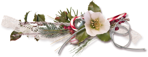 Transparent christmas Flower Cut flowers Plant for Holly for Christmas