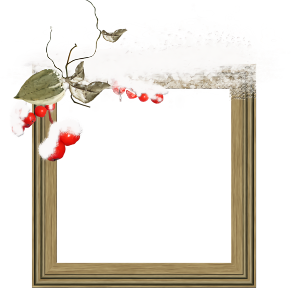 Transparent christmas Picture frame Plant Rectangle for Christmas Border for Christmas