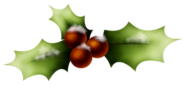 Transparent christmas Holly Leaf American holly for Holly for Christmas