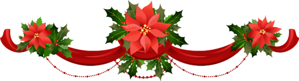 Transparent christmas Poinsettia Red Flower for Holly for Christmas