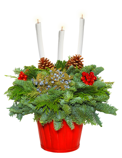 Transparent Floral Design Cut Flowers Flower Flowerpot for Christmas