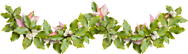 Transparent christmas Flower Leaf Plant for Holly for Christmas