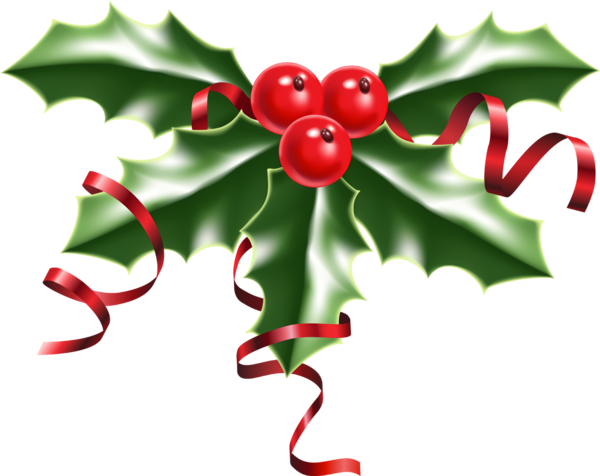 Transparent christmas Holly Red Leaf for Holly for Christmas
