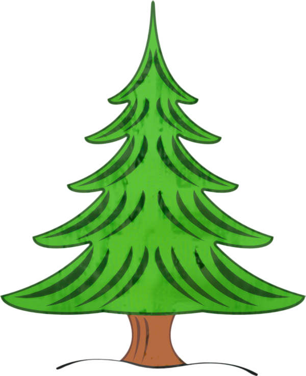 Transparent Pine Tree Conifers Christmas Tree for Christmas