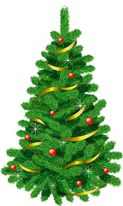 Transparent Christmas Day Christmas Tree Tree Shortleaf Black Spruce for Christmas