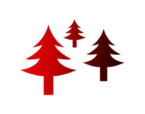 Transparent Christmas Tree Christmas Day Drawing Tree Colorado Spruce for Christmas
