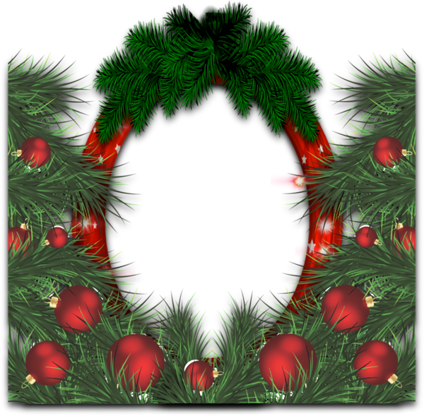 Transparent christmas Christmas decoration oregon pine Colorado spruce for Christmas Border for Christmas