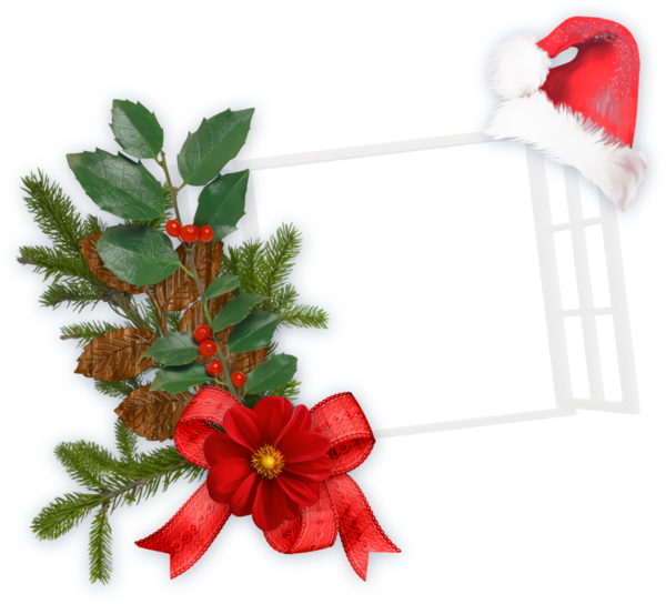 Transparent christmas Plant Flower Holly for Christmas Border for Christmas