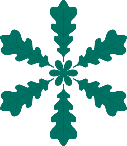 Transparent christmas Leaf Green Plant for Snowflake for Christmas