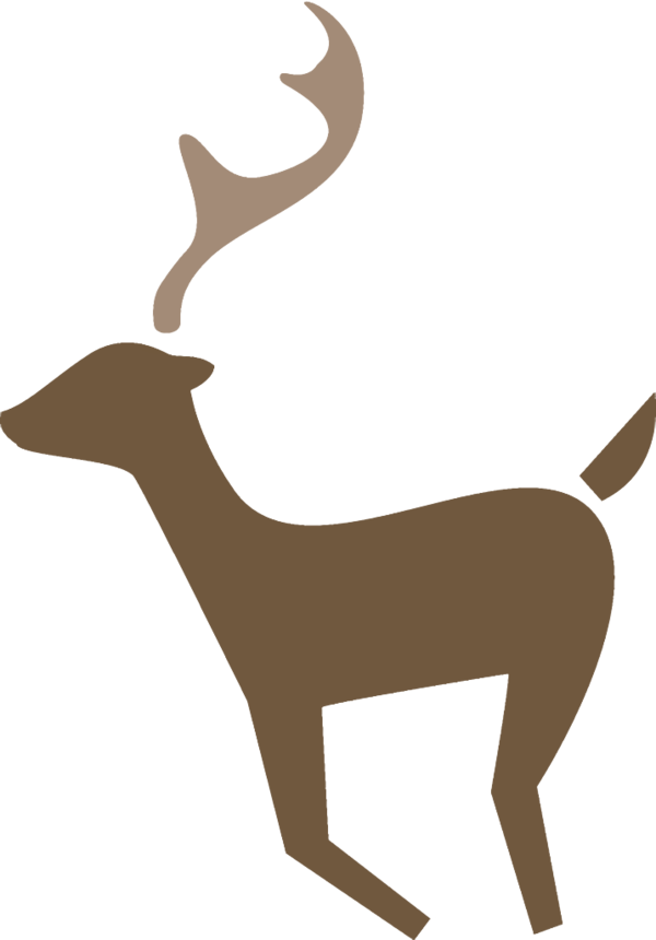 Transparent christmas Deer Antelope Reindeer for Reindeer for Christmas