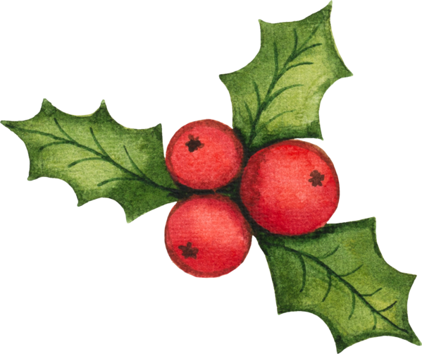 Transparent Santa Claus Christmas Decoration Christmas Day Natural Foods Fruit for Christmas