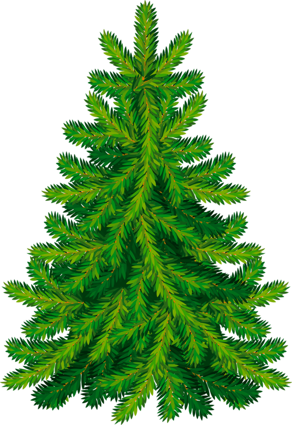 Transparent Christmas Tree Christmas Day Tree Spruce for Christmas
