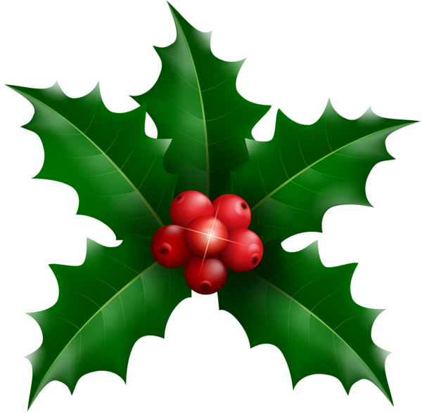 Transparent Christmas Drawing Common Holly Plant Leaf for Christmas