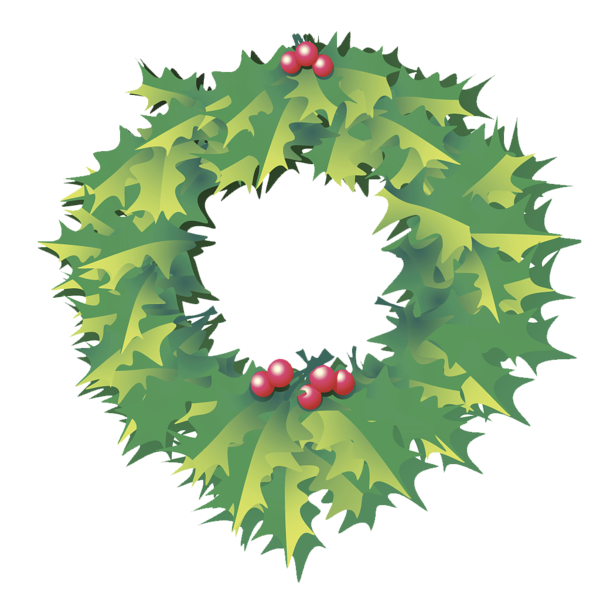 Transparent Ilex Cornuta Circle Firmiana Simplex Fir Pine Family for Christmas