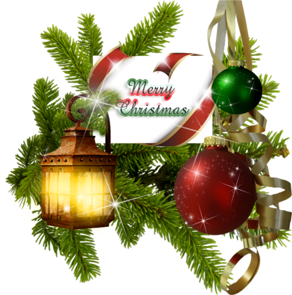 Transparent christmas Christmas tree Christmas decoration oregon pine for Christmas Ornament for Christmas