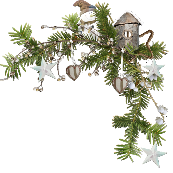 Transparent christmas Tree oregon pine Colorado spruce for Christmas Ornament for Christmas