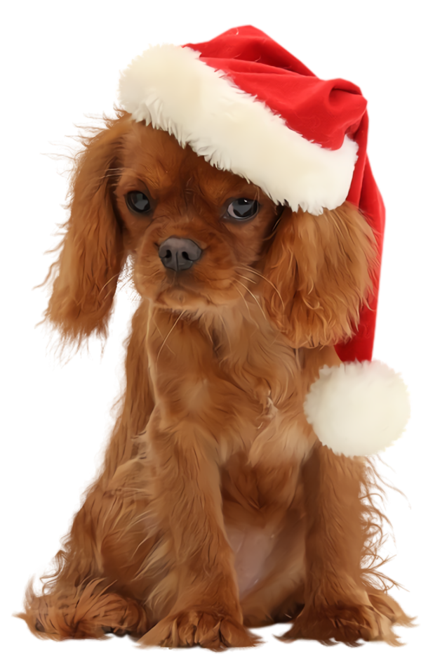Transparent christmas Dog Companion dog Puppy for Christmas Ornament for Christmas